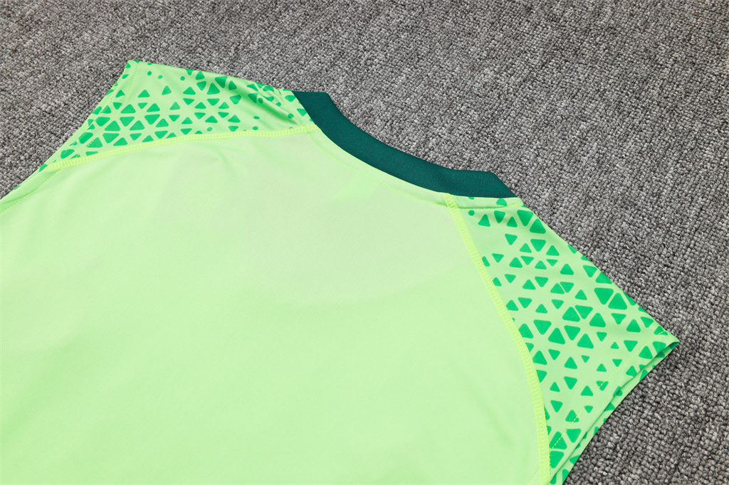 Palmeiras Training Jersey 23/24