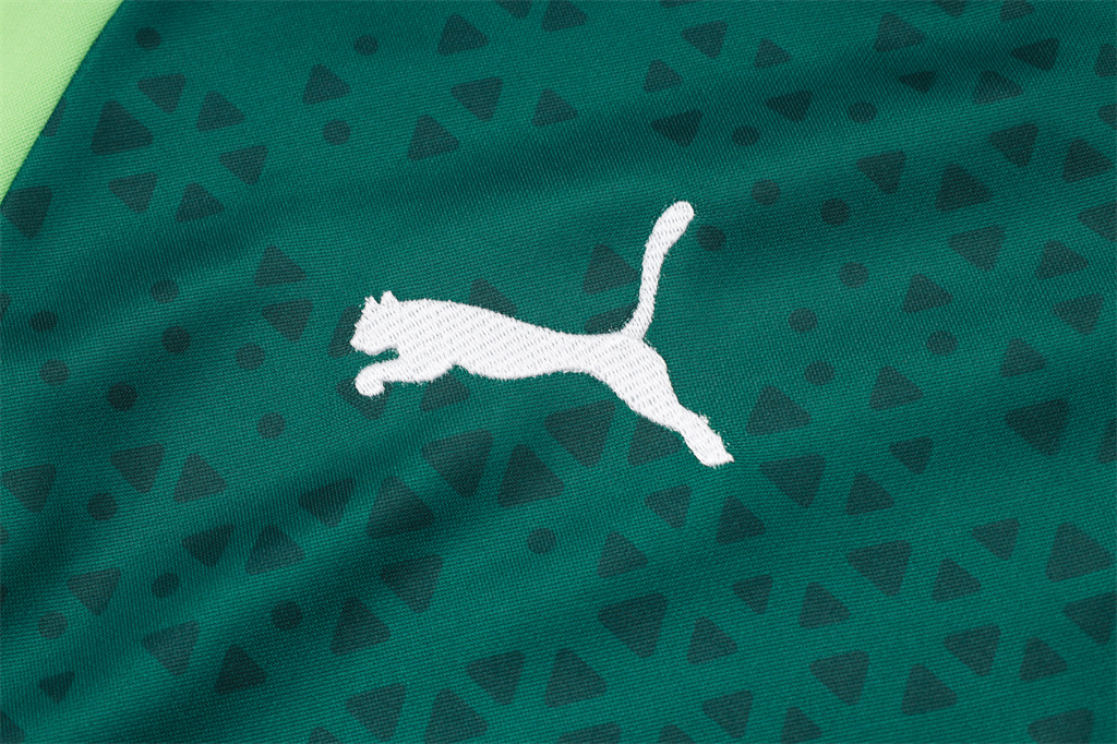 Palmeiras Training Jersey Suit 24/25