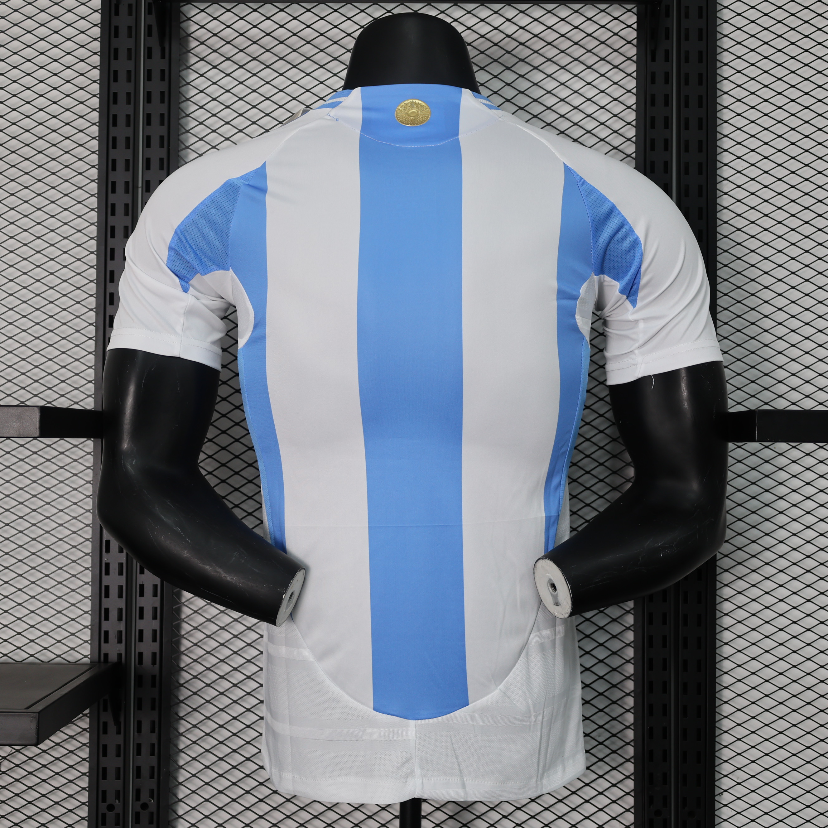 Argentina 2024 Home Player Version Man Jersey