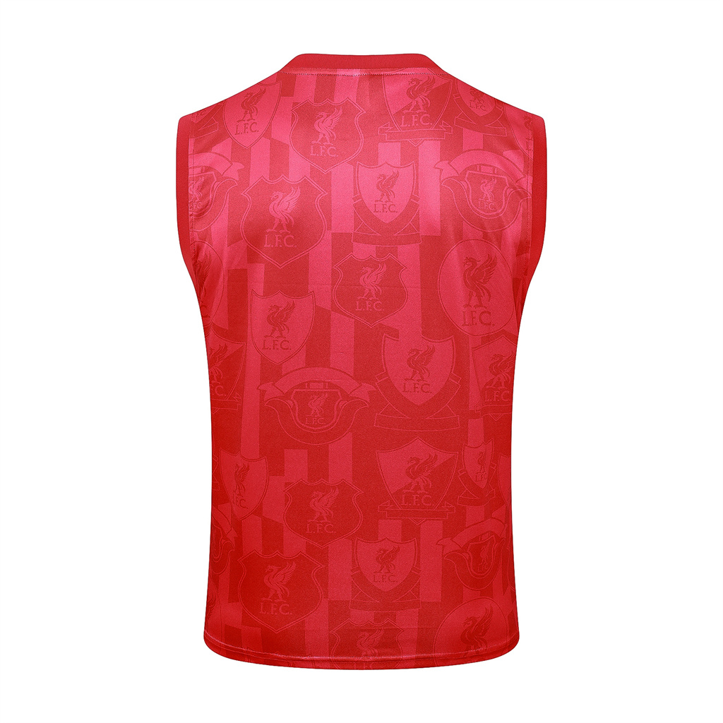 Liverpool Training Jersey 24/25