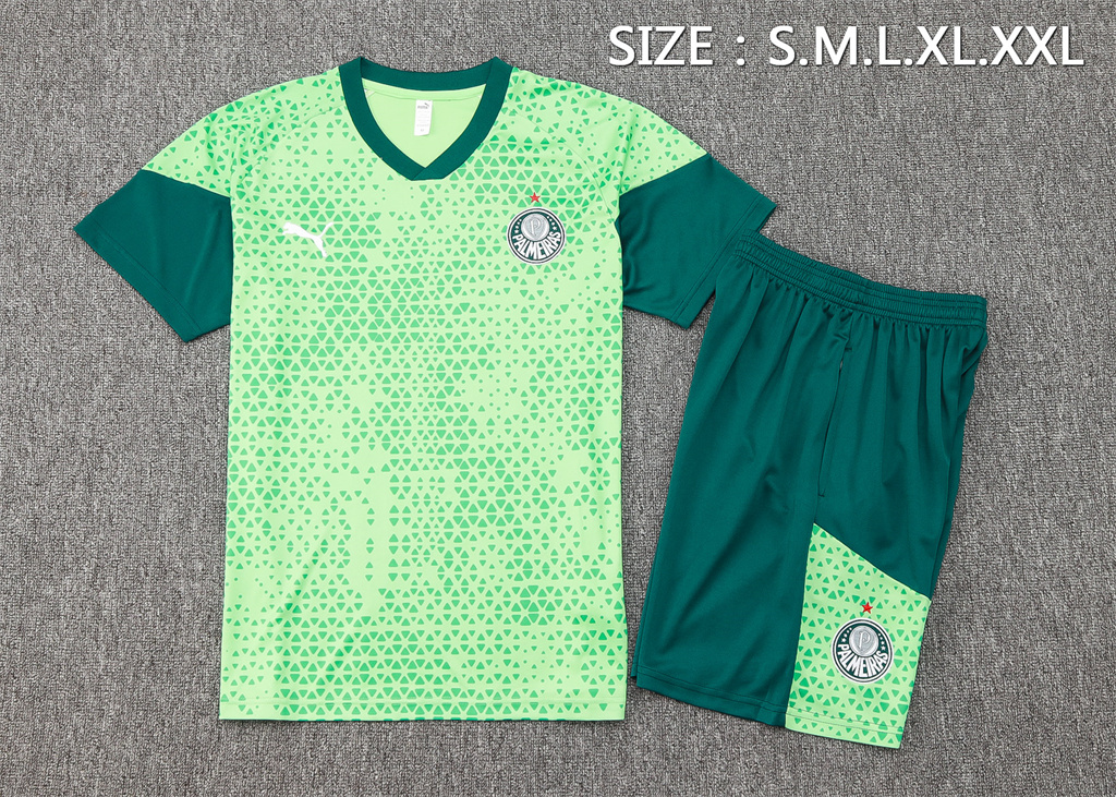 Palmeiras Training Short sleeve Suit 24/25