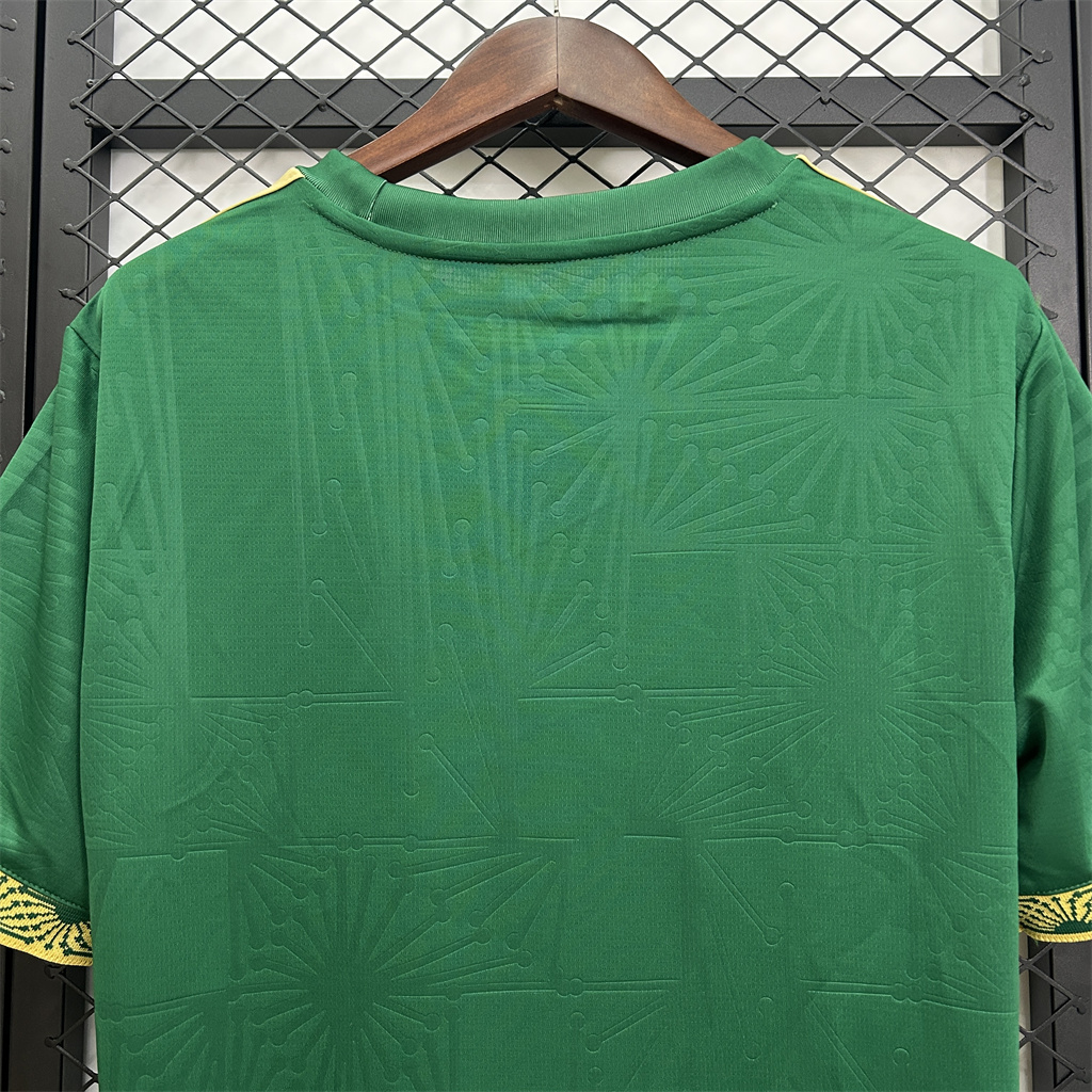 Mexico Gold Men Jersey 25/26 Green