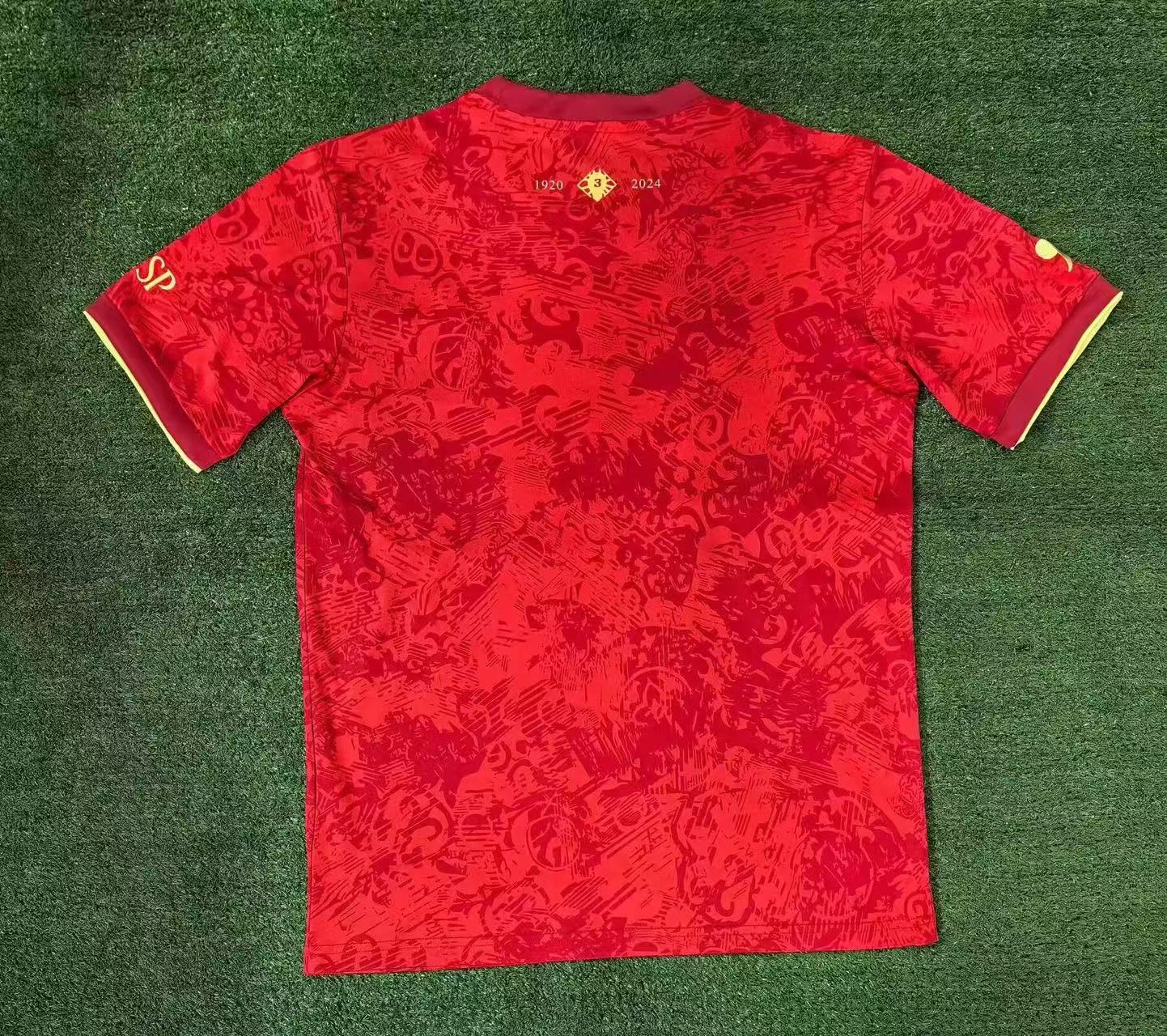 Spain 2024 Special Edition Man Jersey