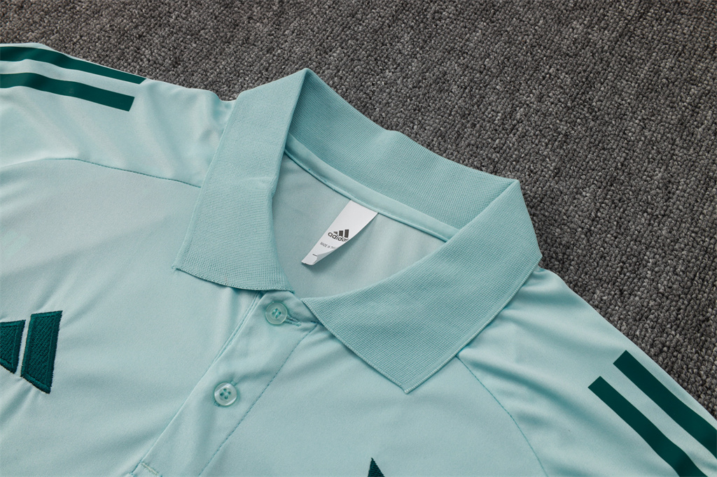 Cruzeiro  POLO Jersey 24/25