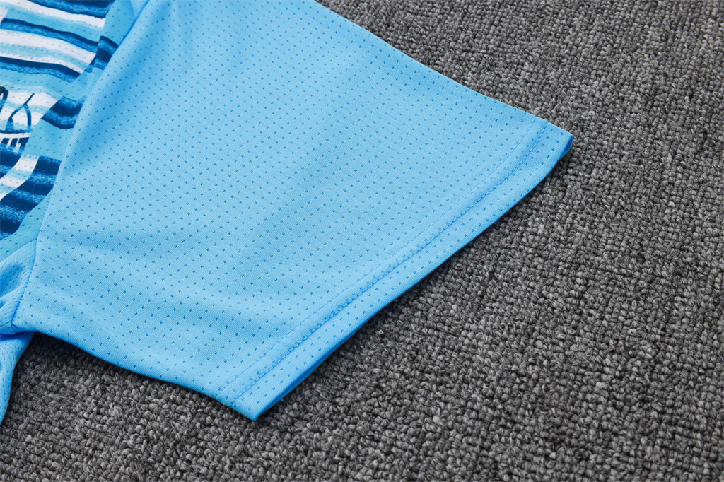 Marseille Training Short sleeve Jersey 24/25