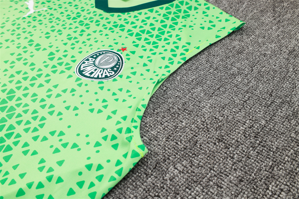 Palmeiras Training Jersey 23/24