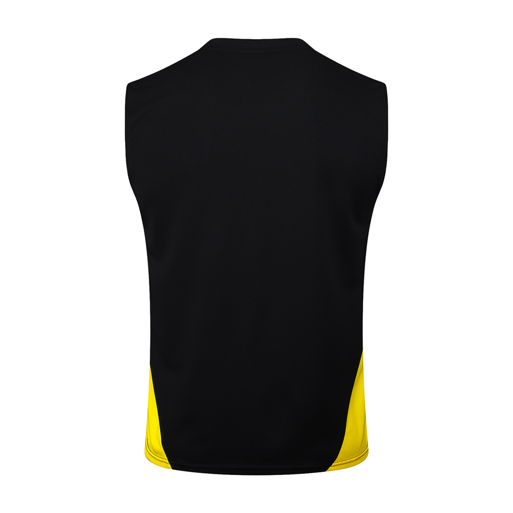 Borussia Dortmund Training Jersey 23/24