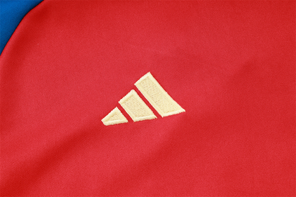 Spain Training Jersey Suit 24/25