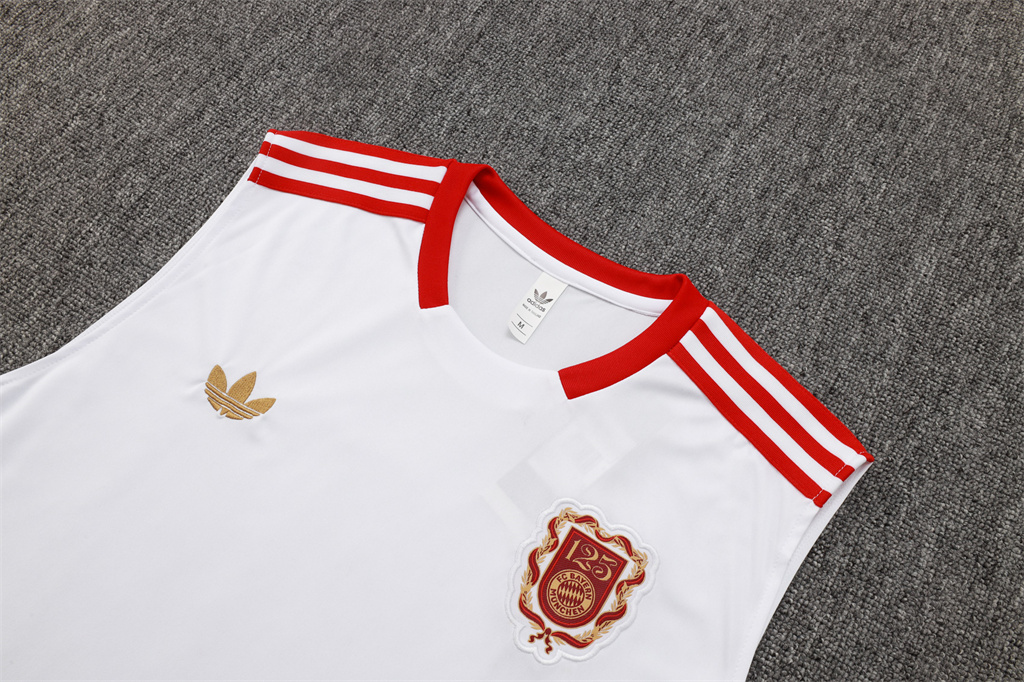 Bayern Munich Training Jersey 25/26