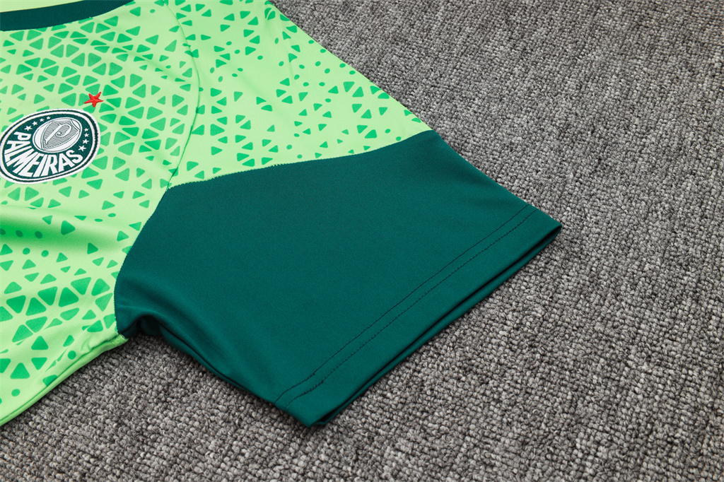 Palmeiras Training Short Sleeve Jersey 24/25