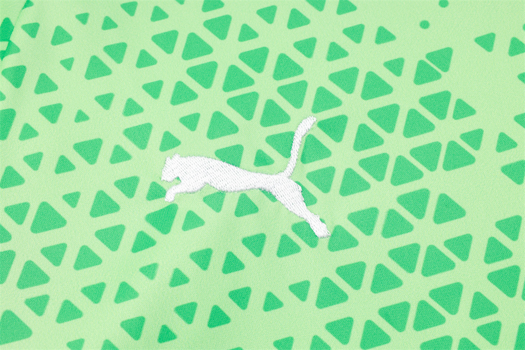 Palmeiras Training Short Sleeve Jersey 24/25