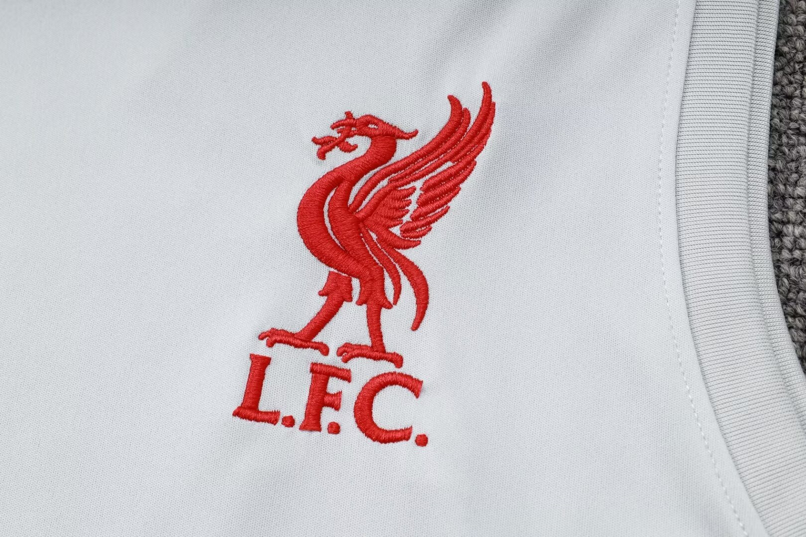 Liverpool Training Jersey 24/25