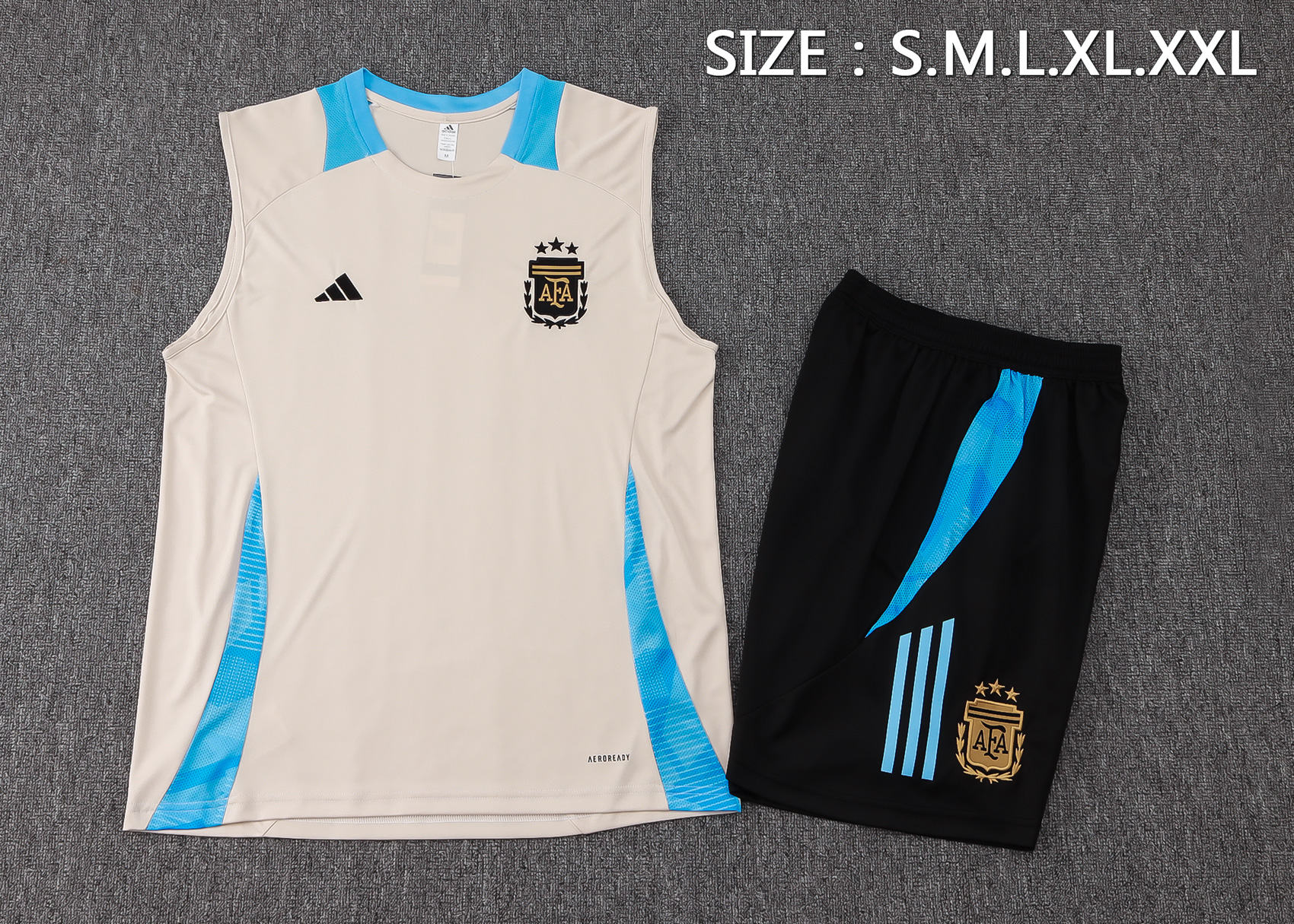 Argentina Training Jersey 24/25