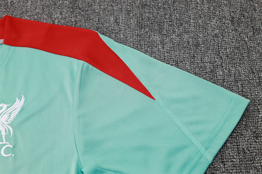 Liverpool Training Short sleeve Jersey 24/25
