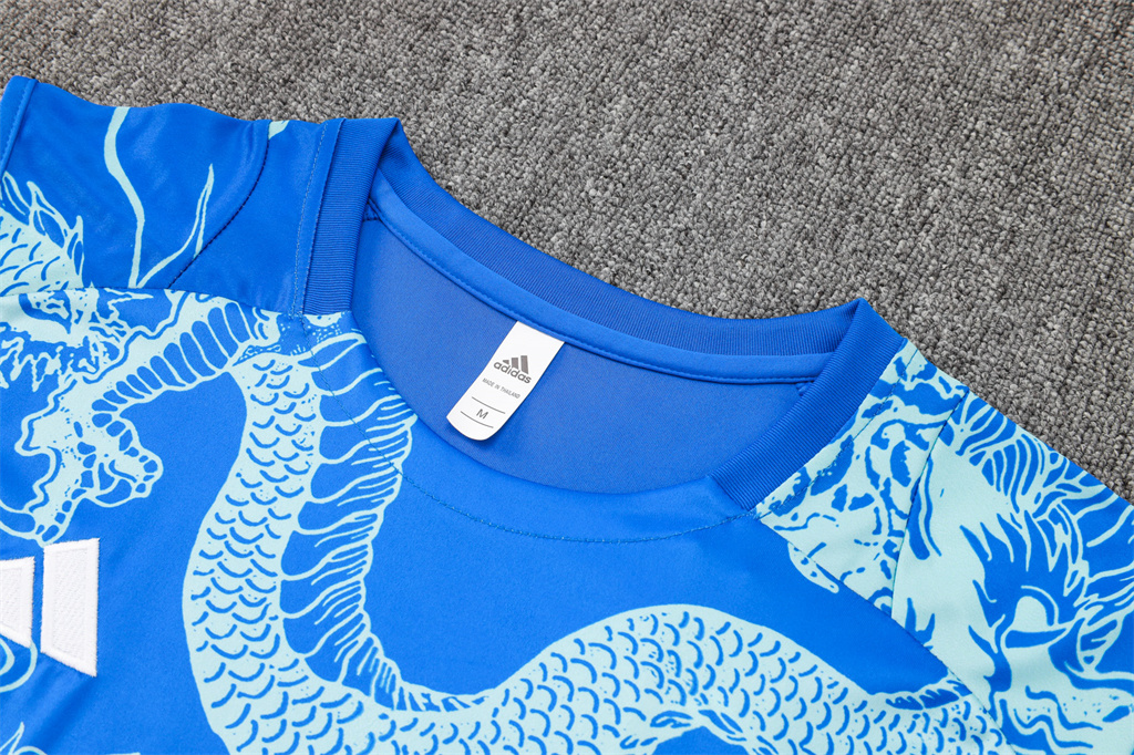 Real Madrid Training Jersey 24/25