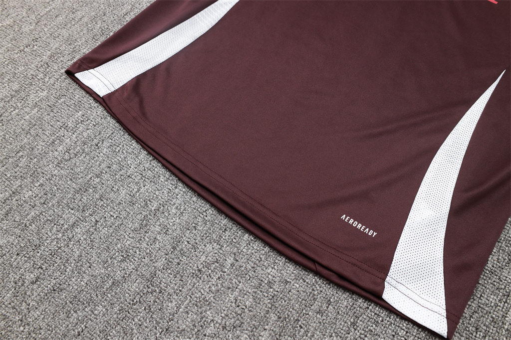 Bayern Munich Training Jersey Suit 24/25