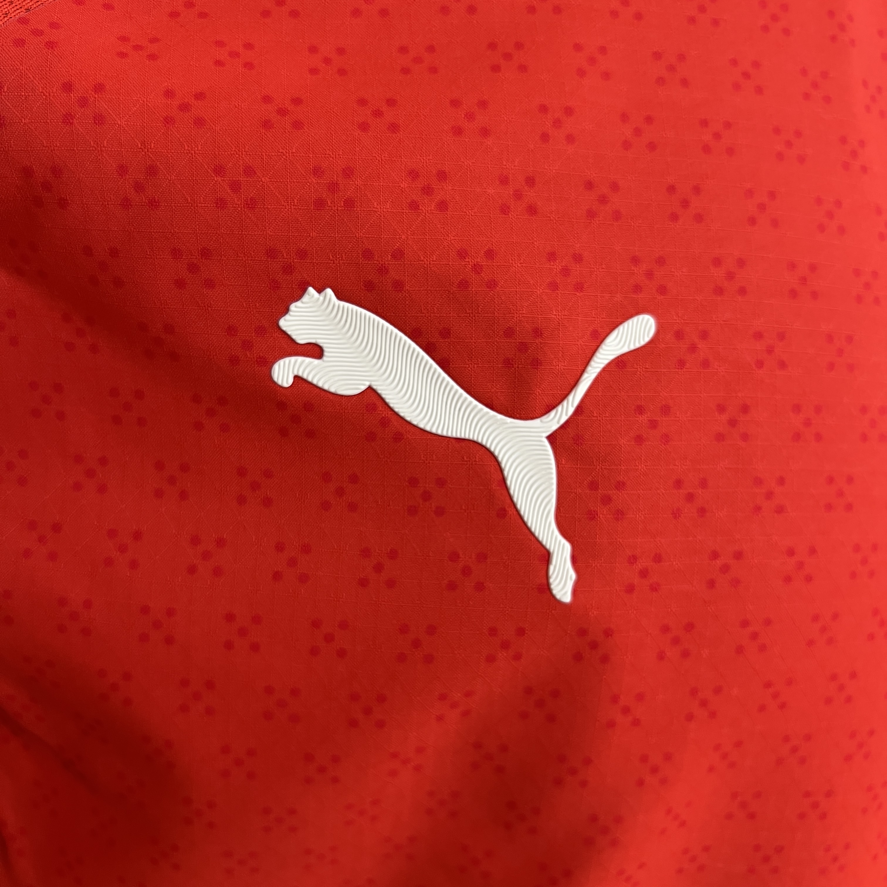 Portugal 2025 Home Player Version Man Jersey