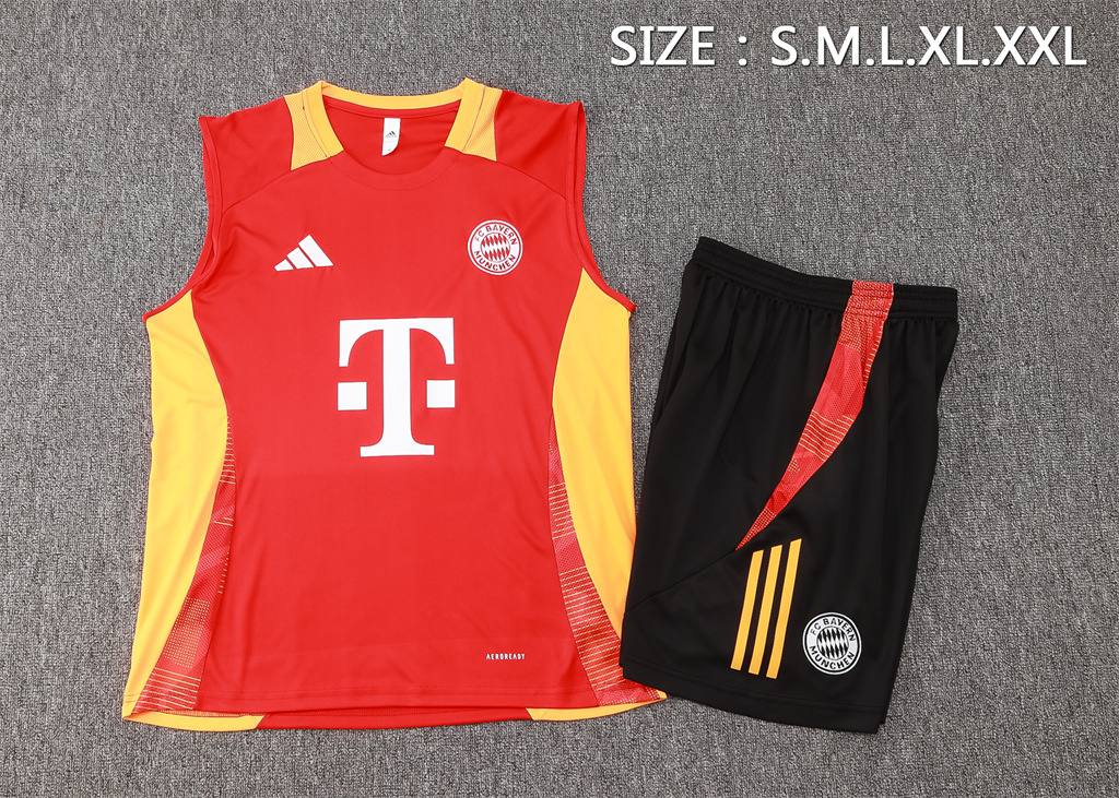 Bayern Munich Training Jersey 24/25