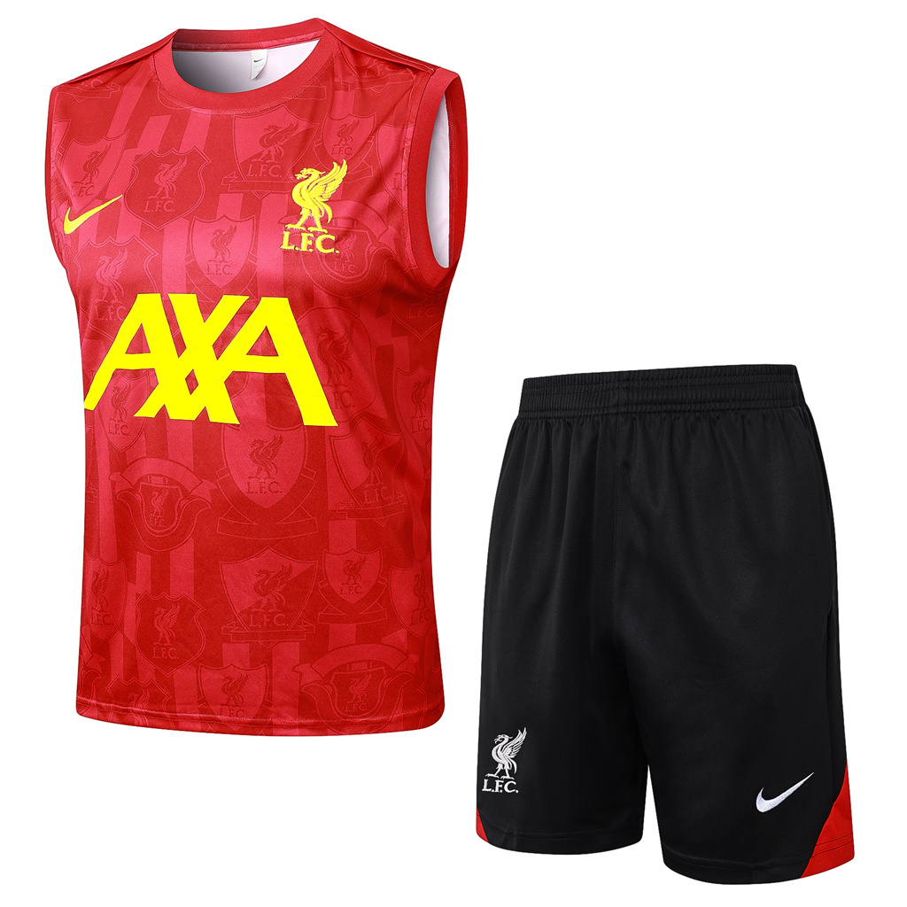 Liverpool Training Jersey 24/25