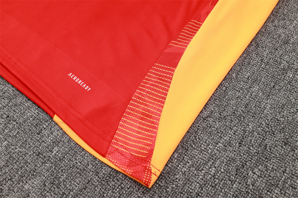 Bayern Munich Training Jersey 24/25