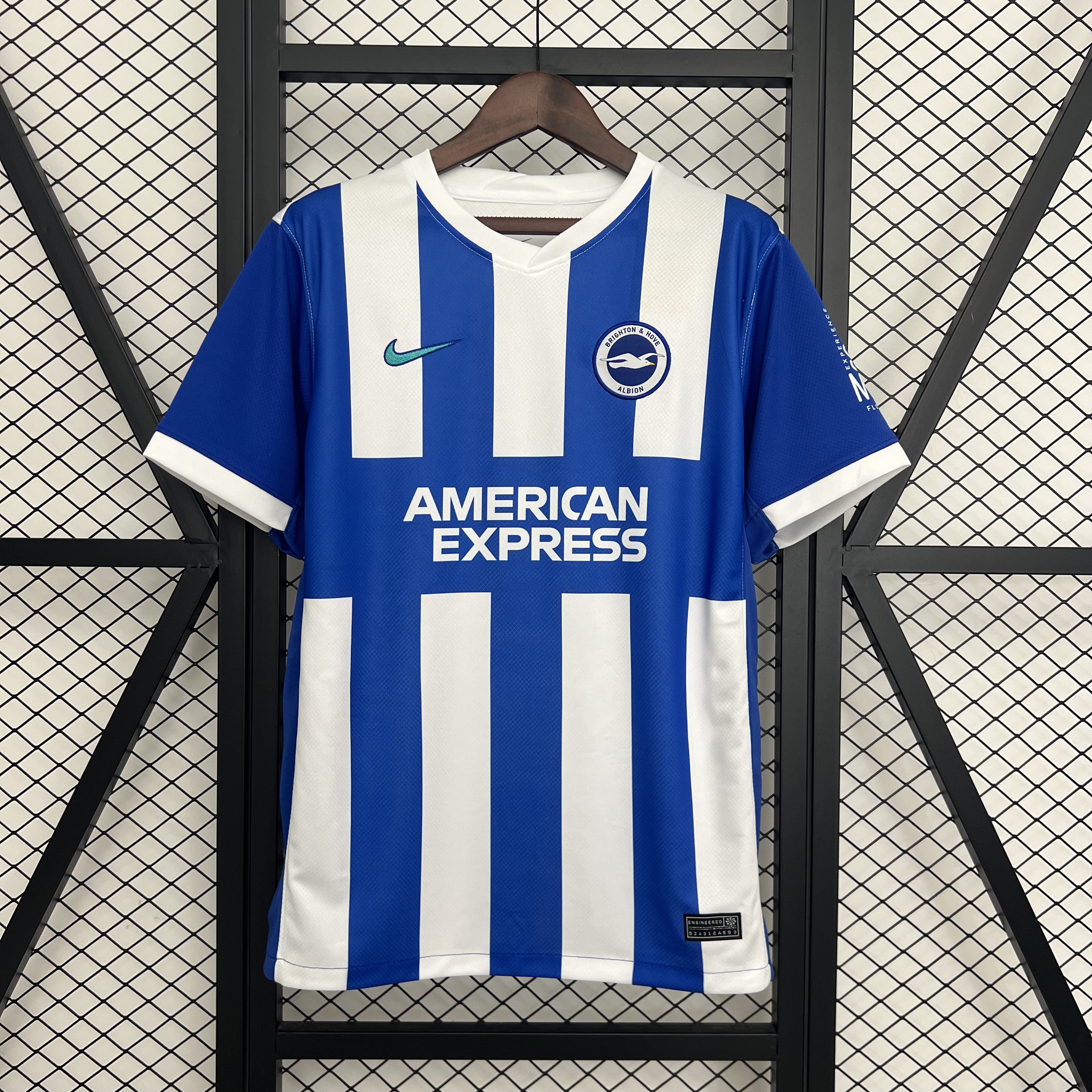 Brighton & Hove Albion
