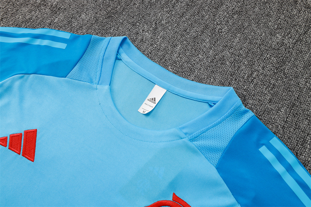 Flamengo Training Short sleeve Jersey 24/25