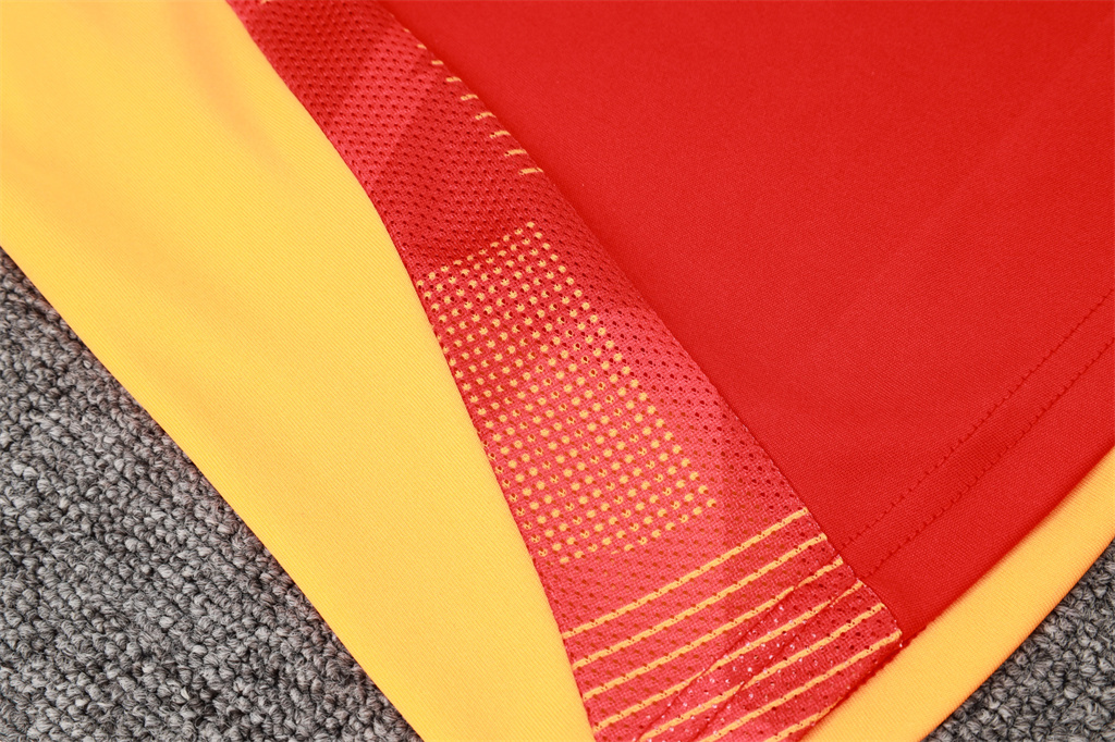 Bayern Munich Training Jersey 24/25