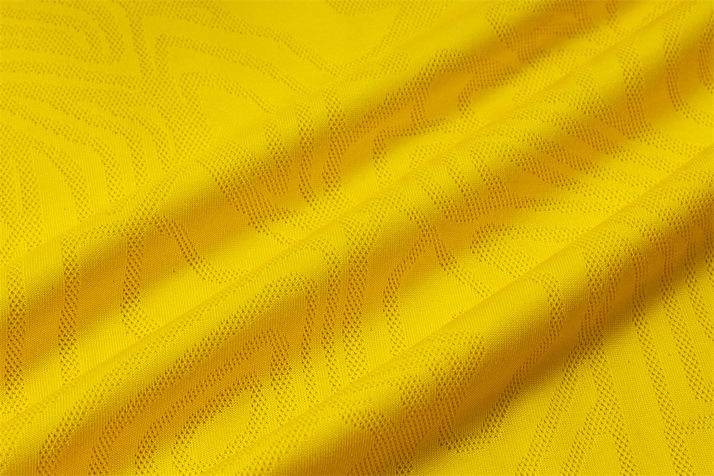 Borussia Dortmund Training Jersey 24/25