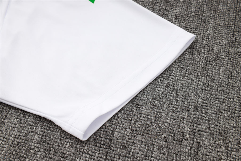 Italy POLO Jersey 24/25