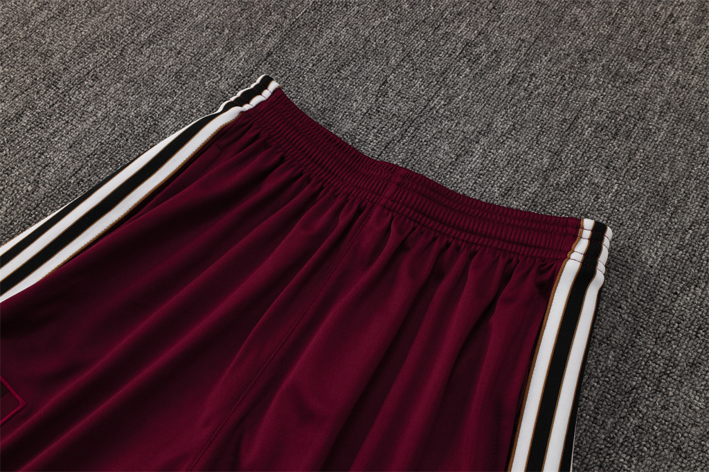 Ajax POLO Jersey 25/26