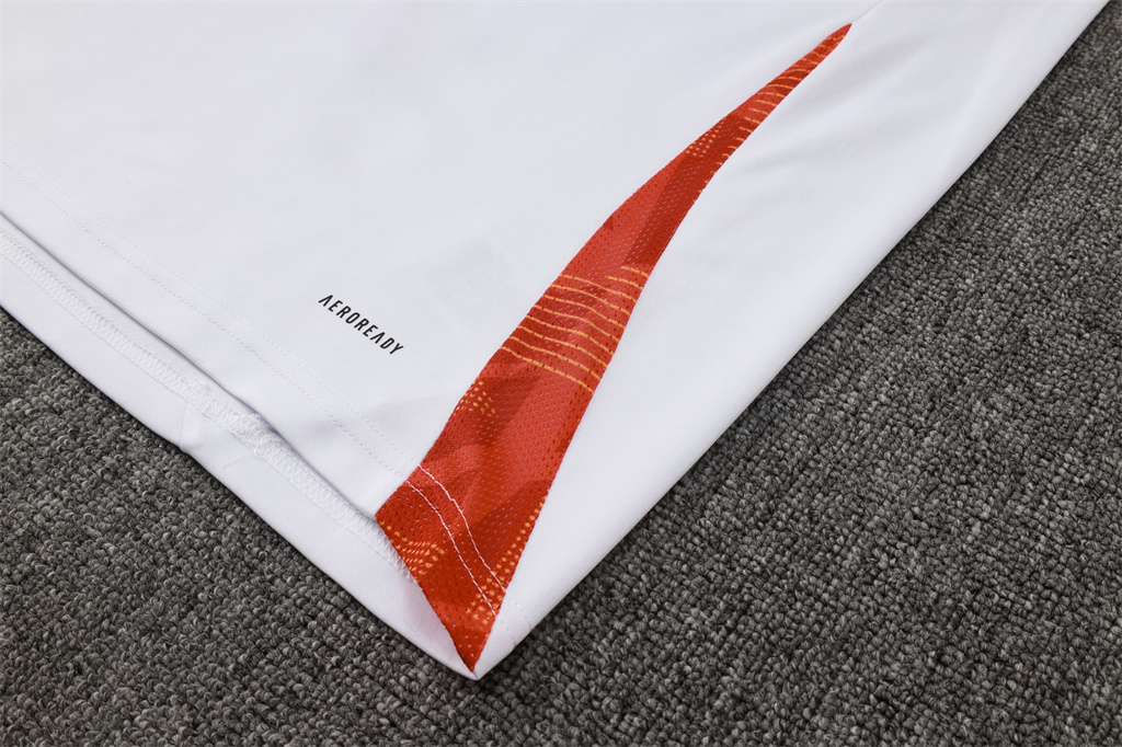 Internacional Training Jersey Suit 24/25