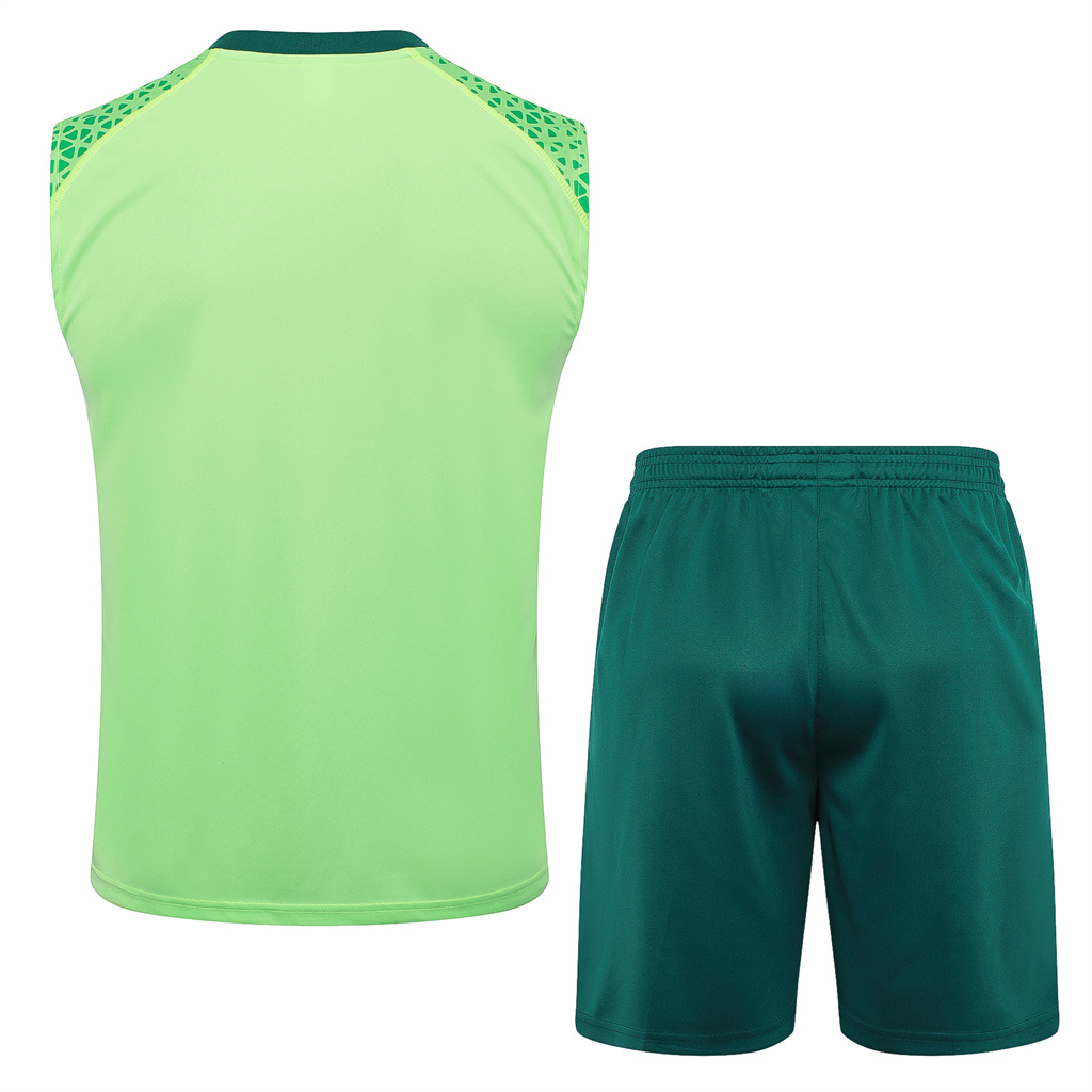 Palmeiras Training Jersey 23/24