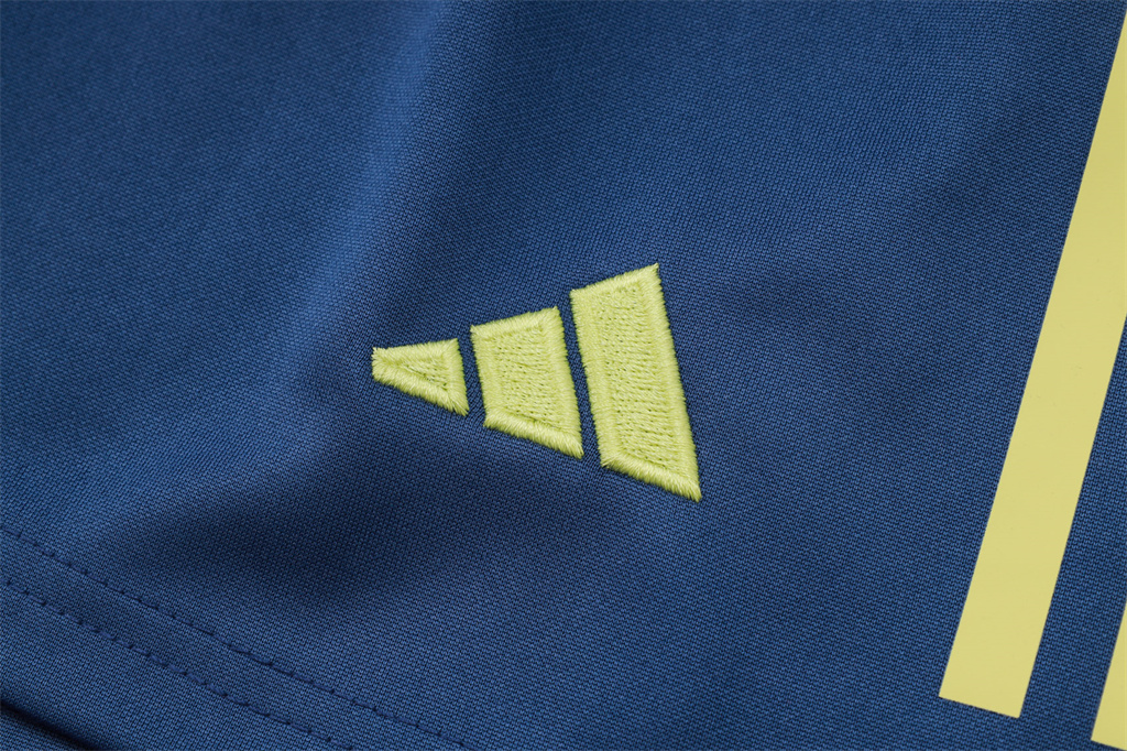 Ajax Training Jersey 24/25