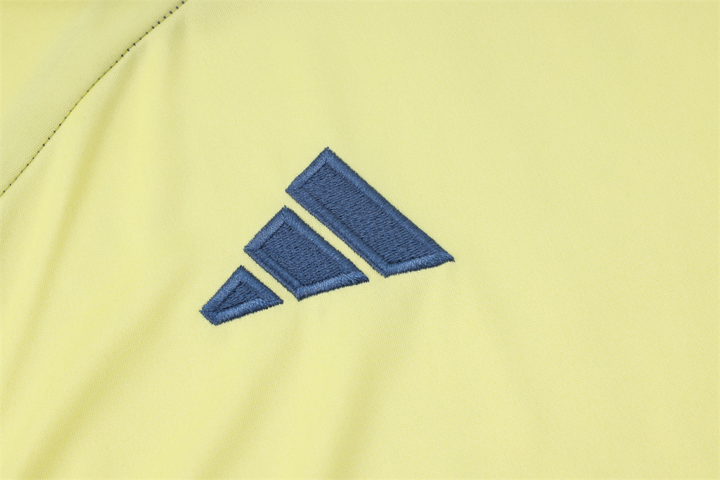 Ajax Training Jersey 24/25