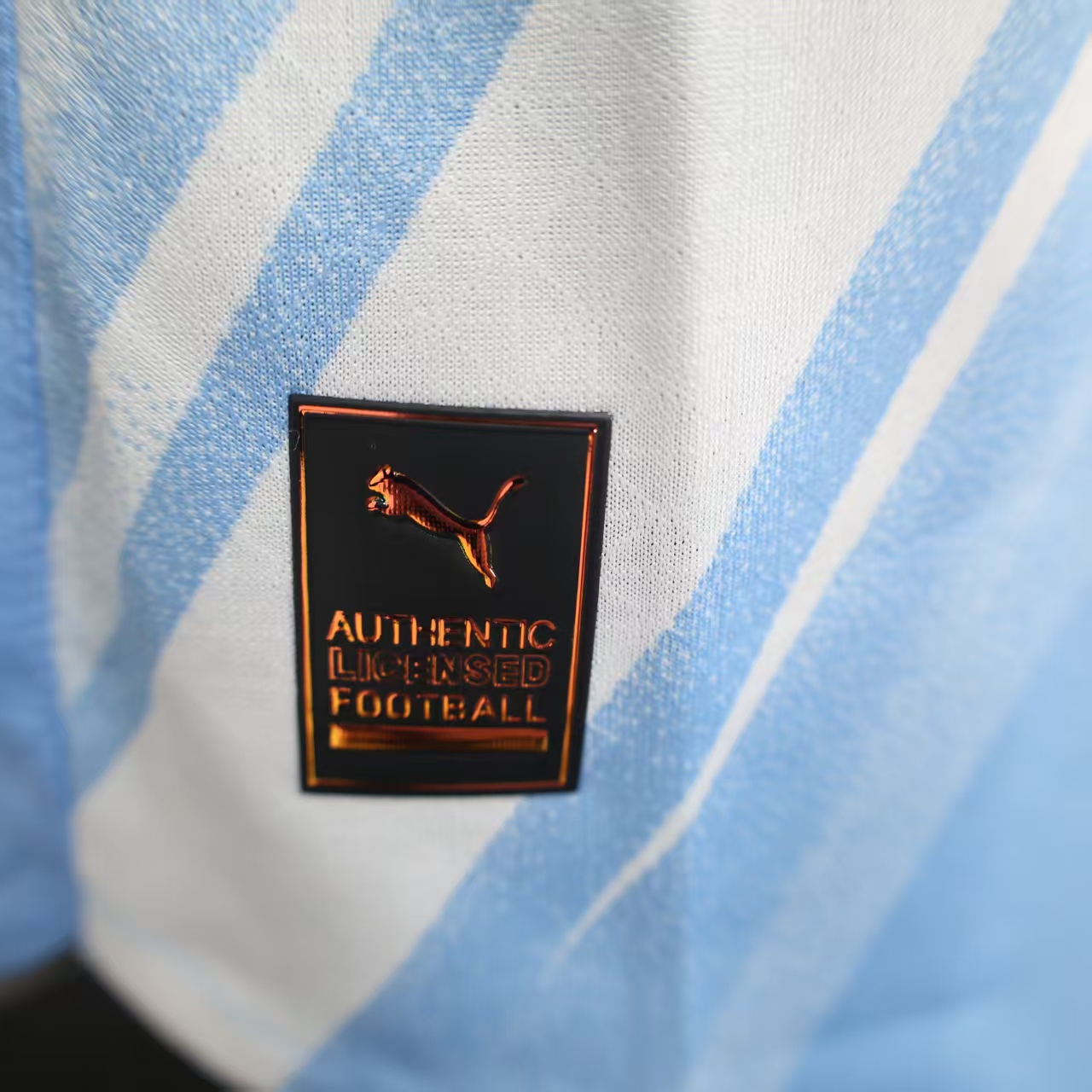 Manchester City Soccer Shirt Home Shirt player version Long Sleeve  2025-26