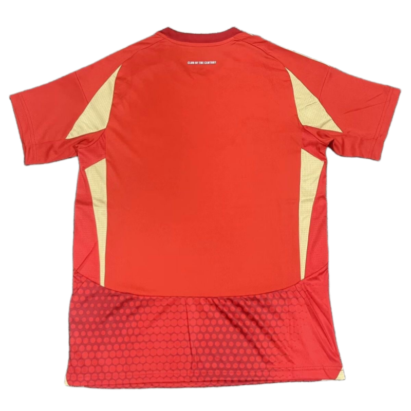 24-25 Ahli jersey home short sleeved football jersey Cairo Nationals