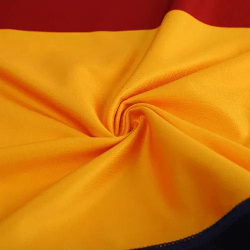 Roma Totti #10 Retro 2001/02 Jersey Third Away