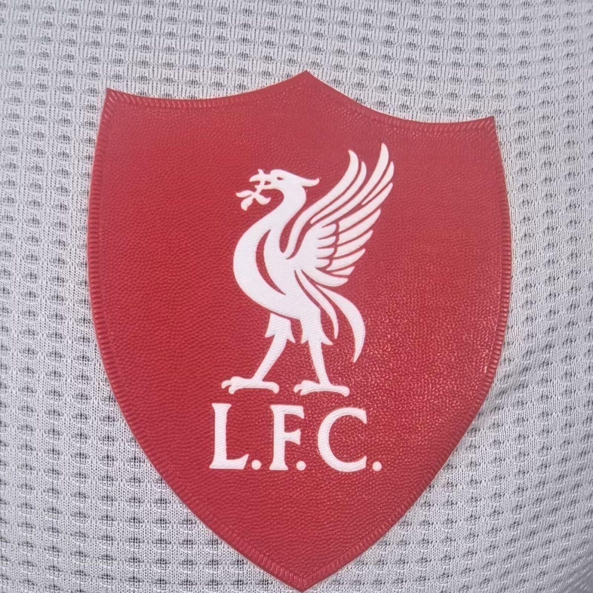 2025-2026 Liverpool Special Player Edition Football Suit