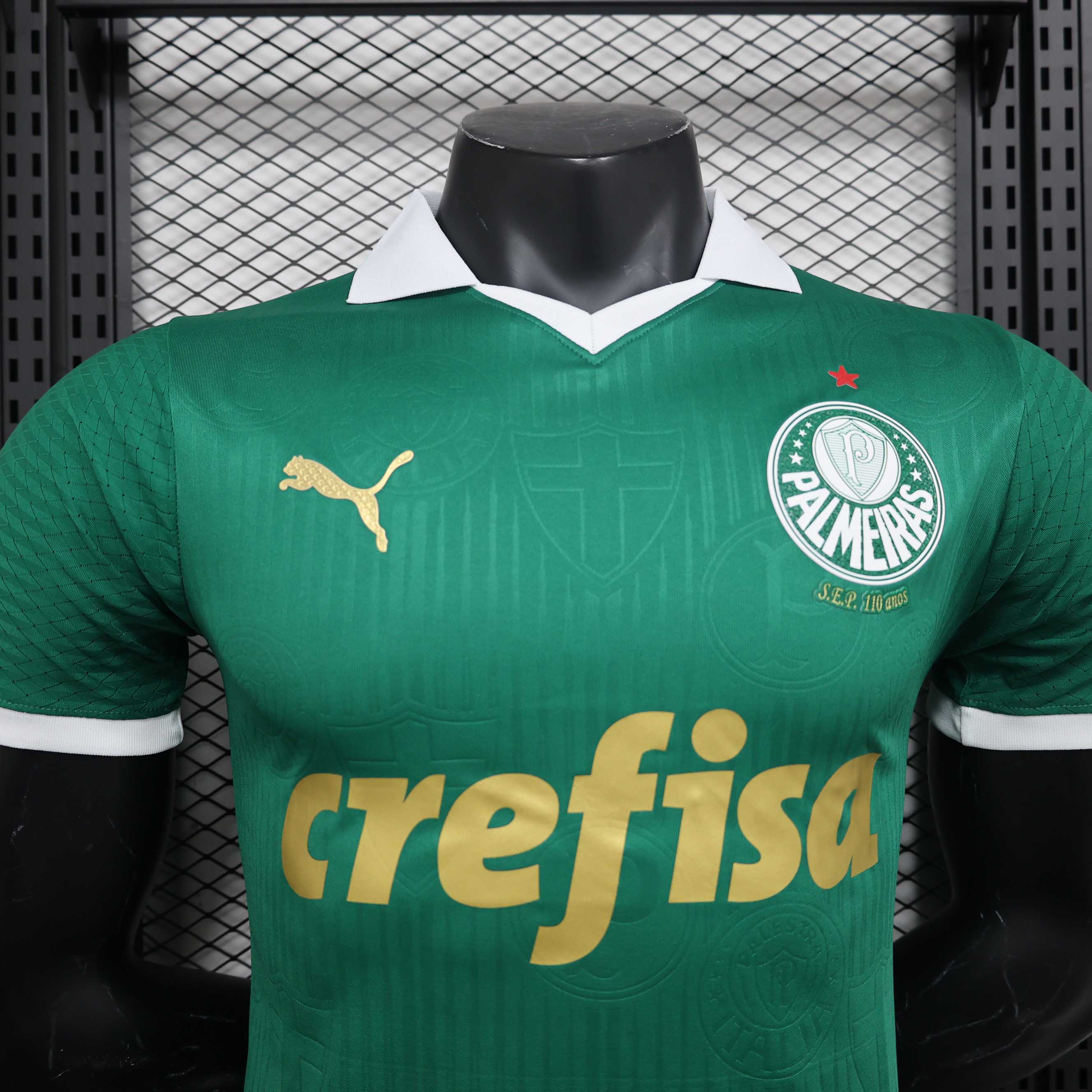24-25 Palmeiras Home Kit Player Version Shirt Best Jerseys