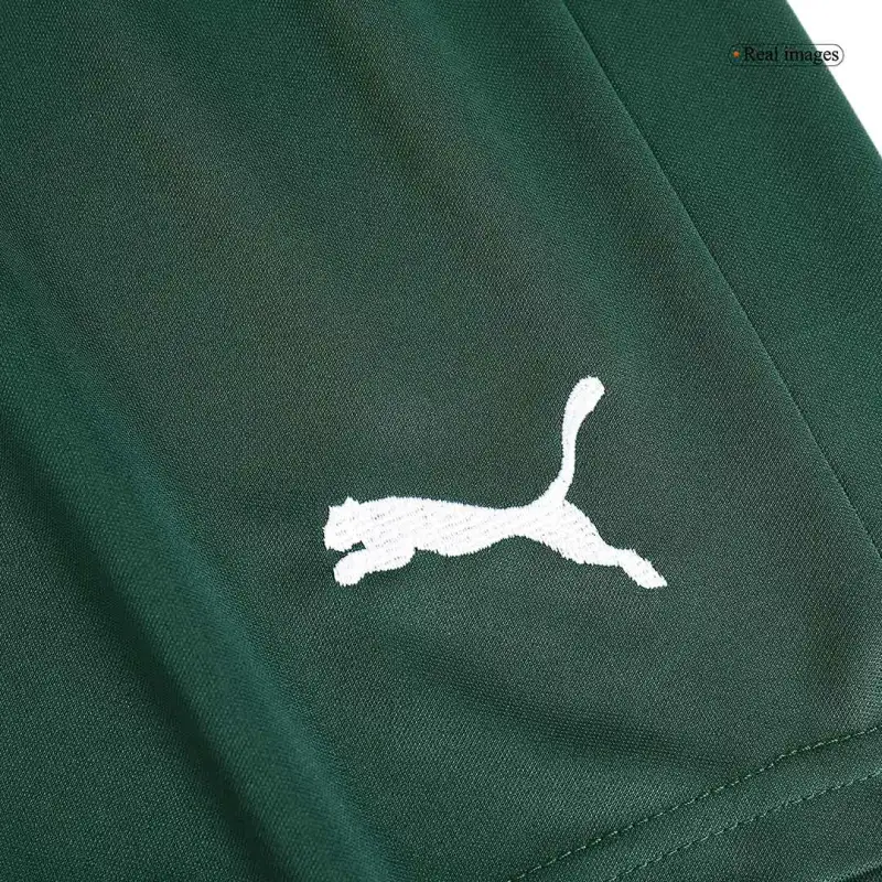 SE Palmeiras 2023/24 Away Shorts Replica