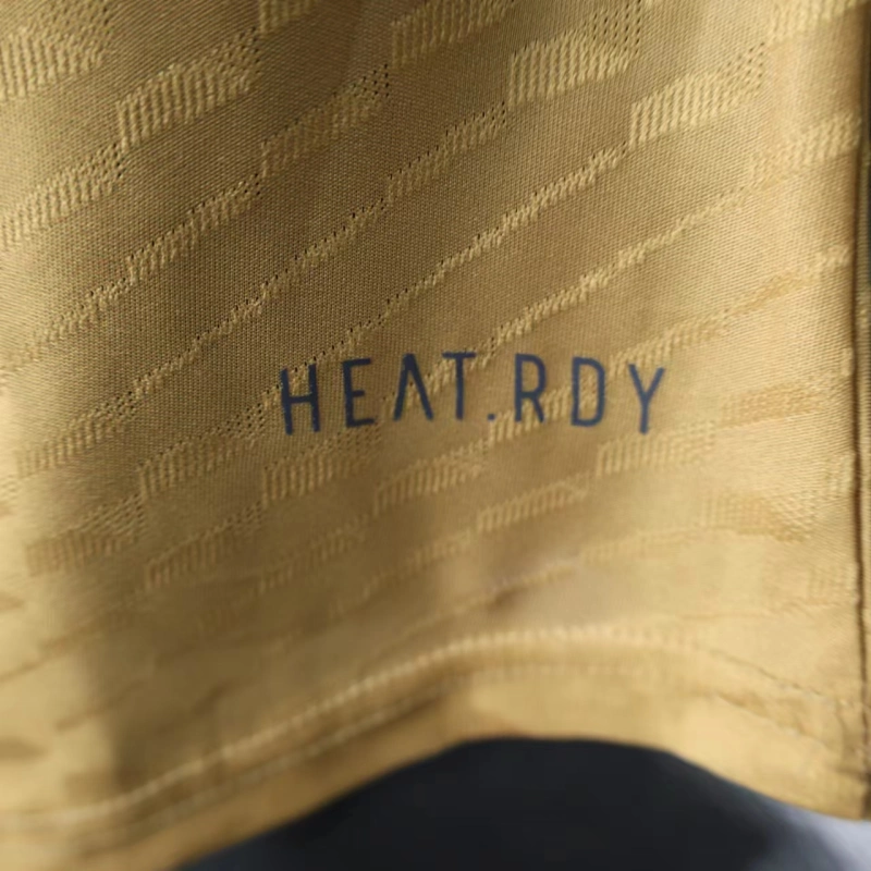 24-25 Real Madrid Gold Special Edition Football Jersey