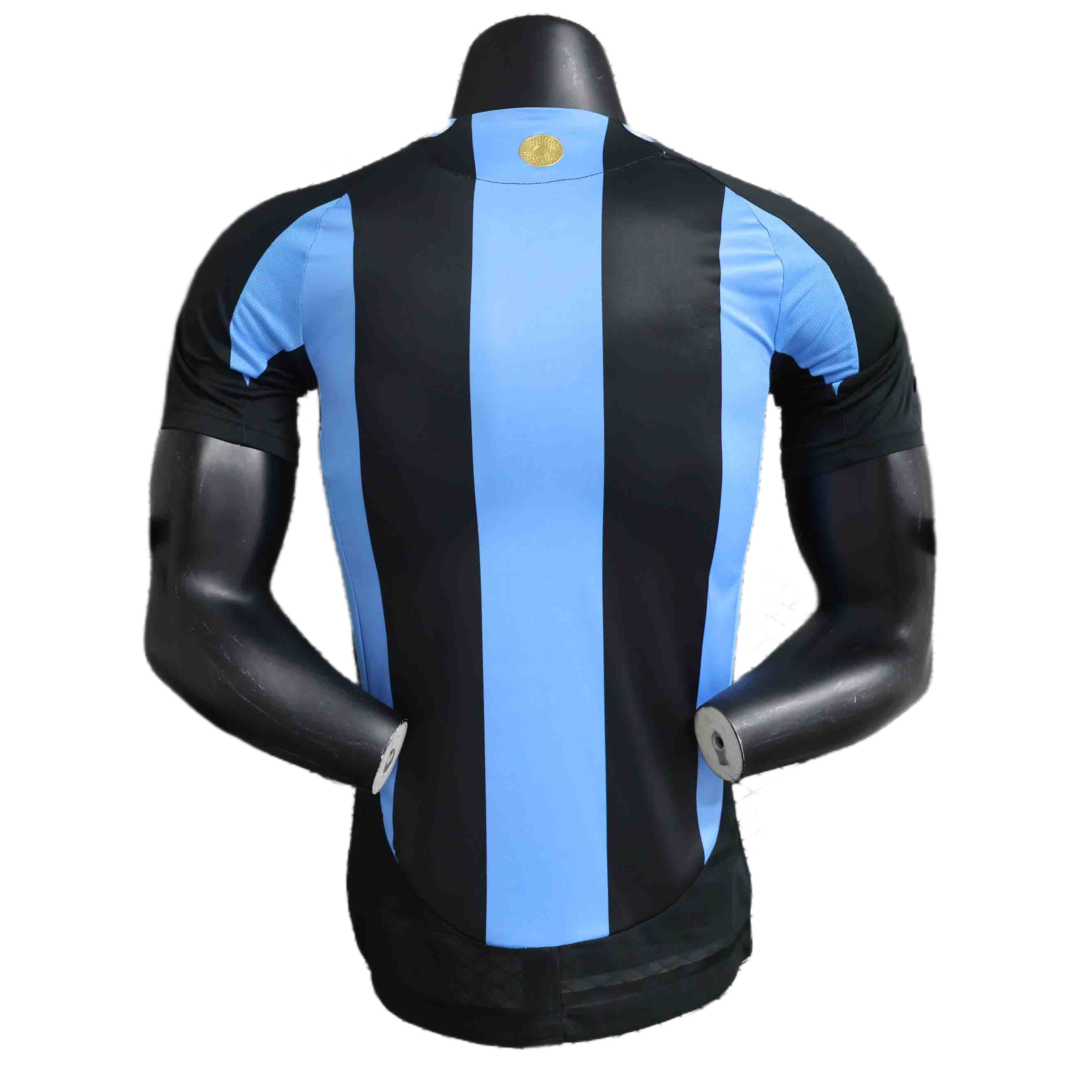 2024 Player Argentina Special Edition Soccer Jersey