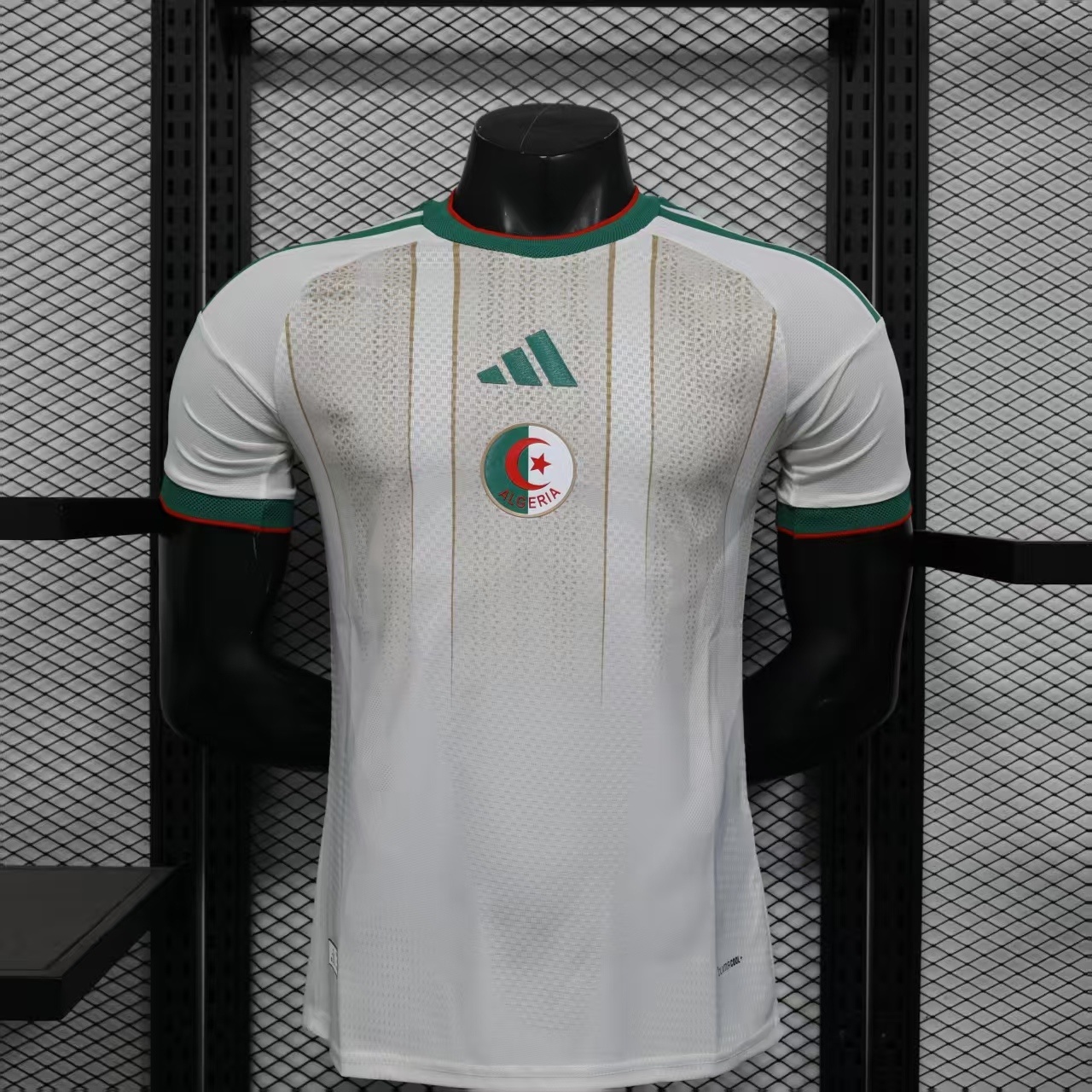 25/26 Algeria Home Player Version Jersey