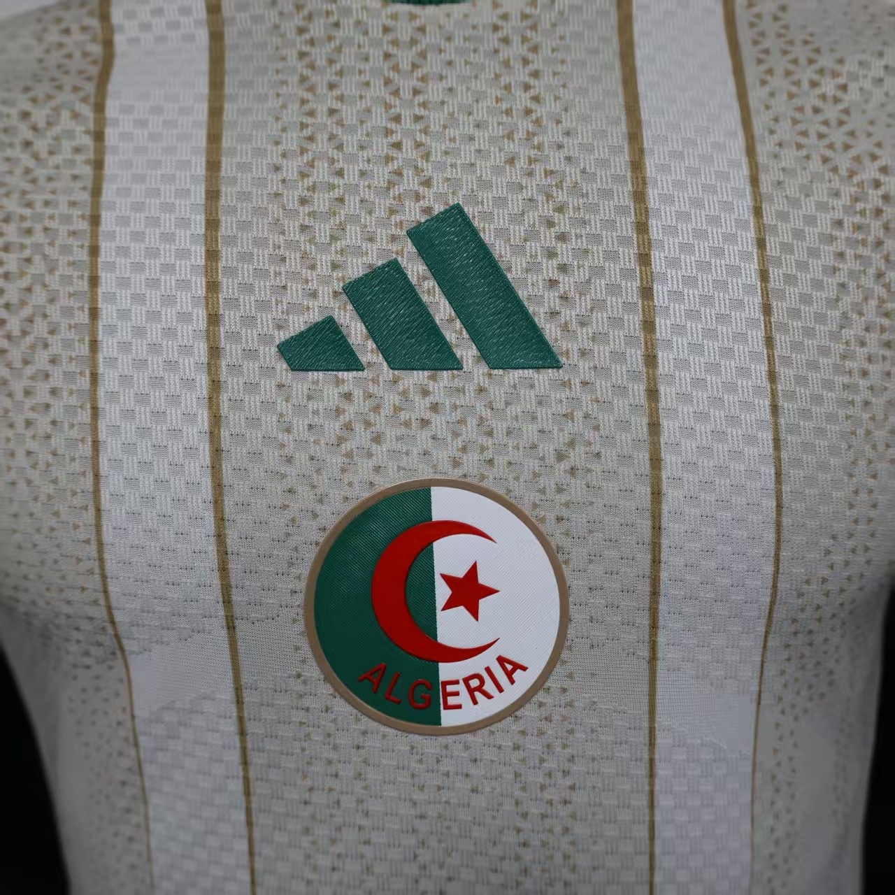 25/26 Algeria Home Player Version Jersey