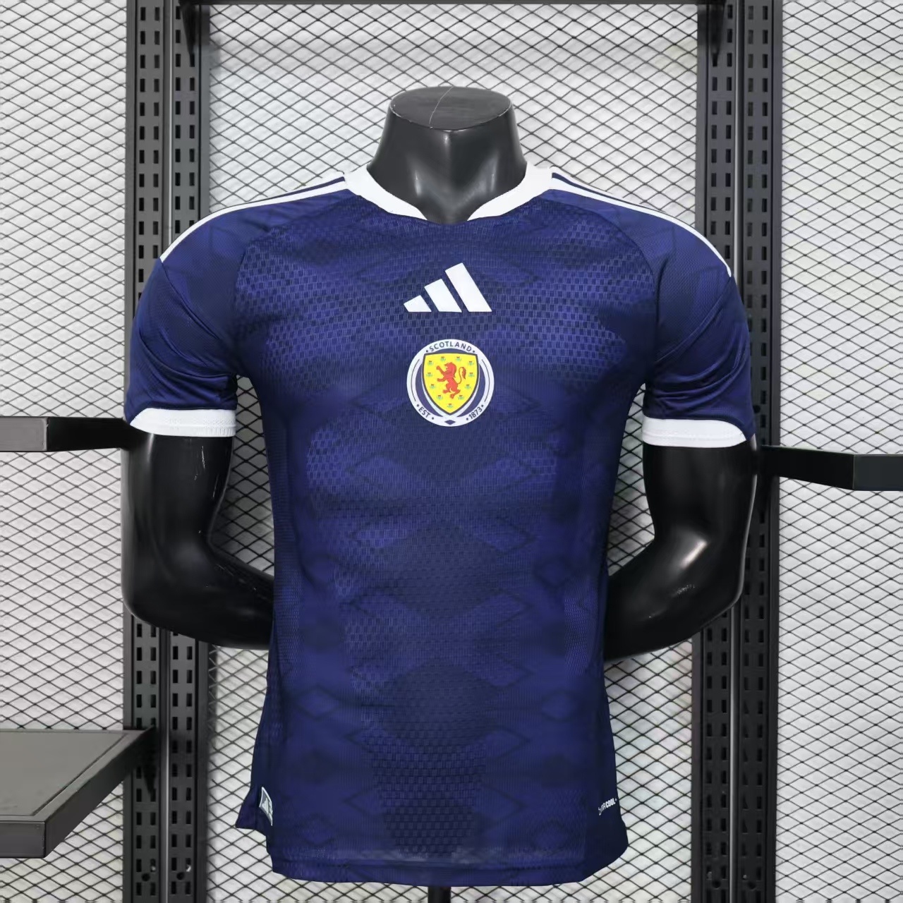 2026 Scottish Home Player Version