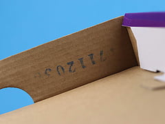 Nike SB Dunk Low Reverse Papa Bear