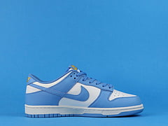 Nike Dunk Low Coast
