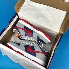 Nike Dunk Low Co.JP Samba