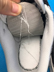 Nike Dunk Low Retro Animal Pack Zebra