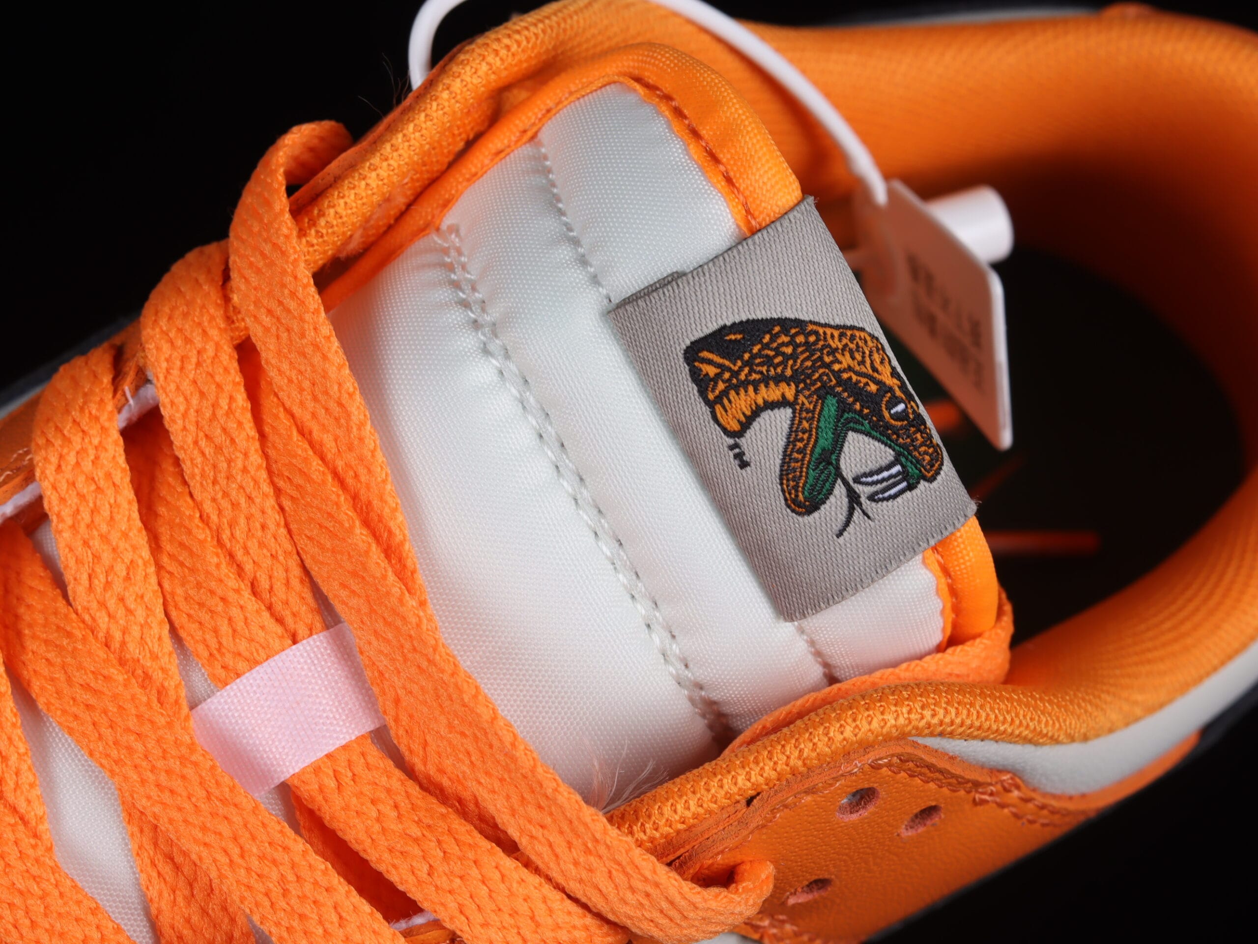 Nike Dunk Low Florida A M University